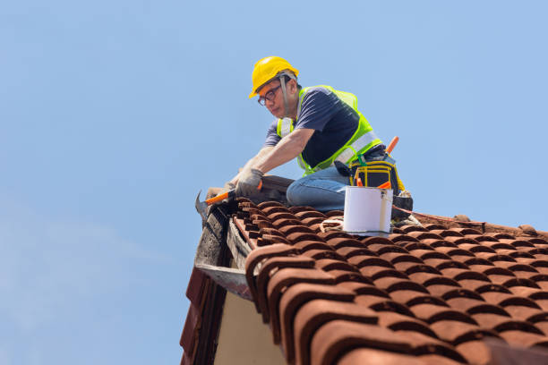 Best Solar Panel Roofing Installation  in Ten Mile Creek, MD